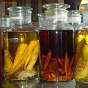 医生提醒：自制药酒要慎用