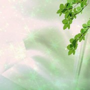 气温短暂回暖注意防寒保暖