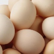 谨防人禽流感勿食半生鸡蛋