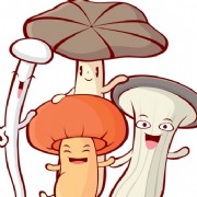 中国80%民众果蔬摄入量不足