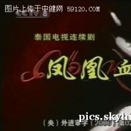 《凤凰血》精彩剧照
