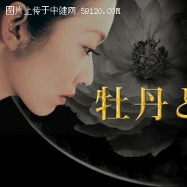 日剧牡丹与玫瑰精彩剧照及人物关系图