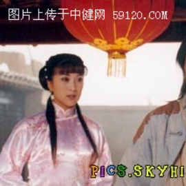 梁小龙《陈真后传》剧照剧情介绍