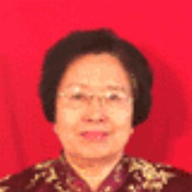 王继春（河北省儿童医院内分泌科）