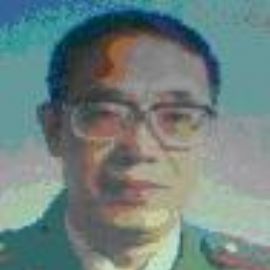 刘琪（上海长征医院）