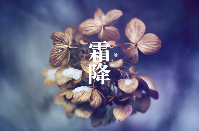 [第1100期]补冬不如补霜降 霜降节气话养生