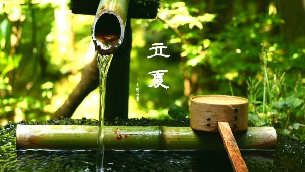 [第1035期]立夏养生重在