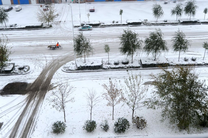 [第1144期]冷空气杀回!降温下雪,注意这些!