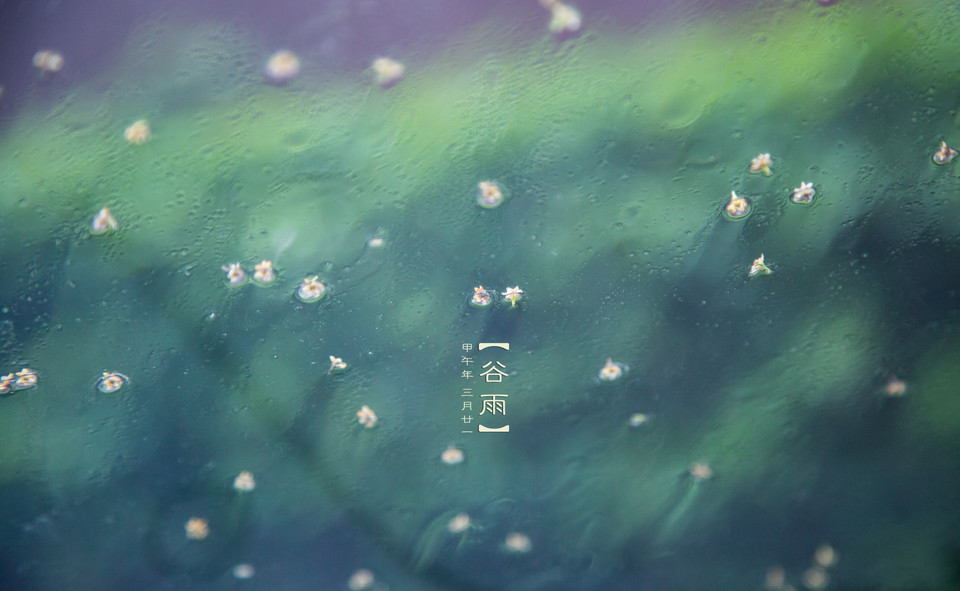 [第1166期]来划重点了,谷雨如何养生看这里